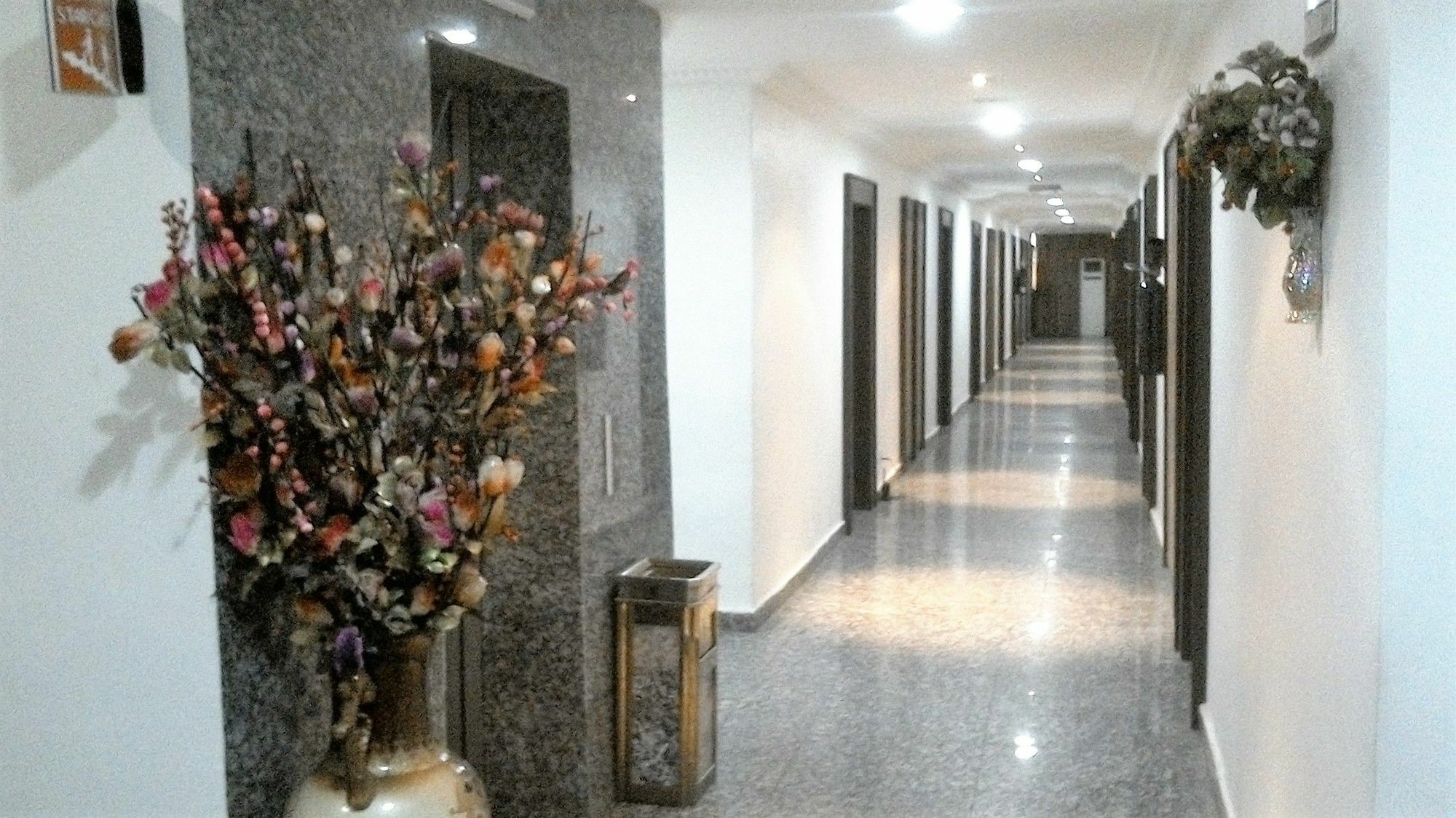 Immaculate Suites And Apartments Mobushipe エクステリア 写真